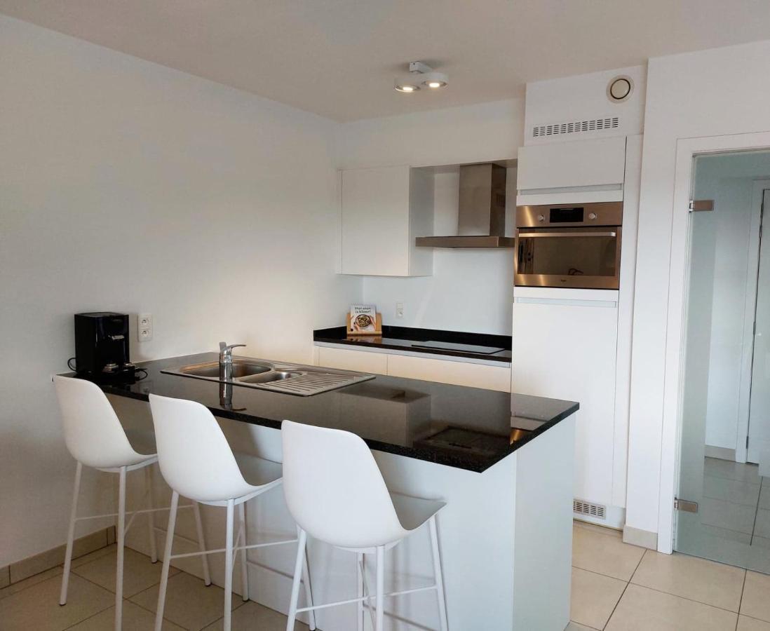 Duplex Villa Capricia Appartement Met Zwembad Nieuwpoort Jachthaven Kültér fotó
