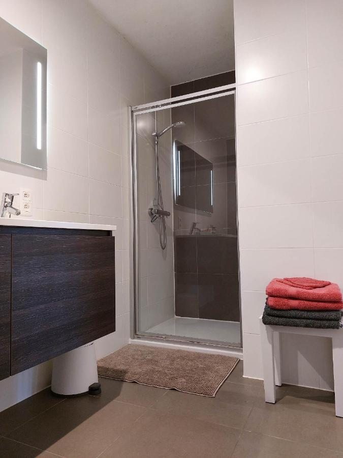 Duplex Villa Capricia Appartement Met Zwembad Nieuwpoort Jachthaven Kültér fotó