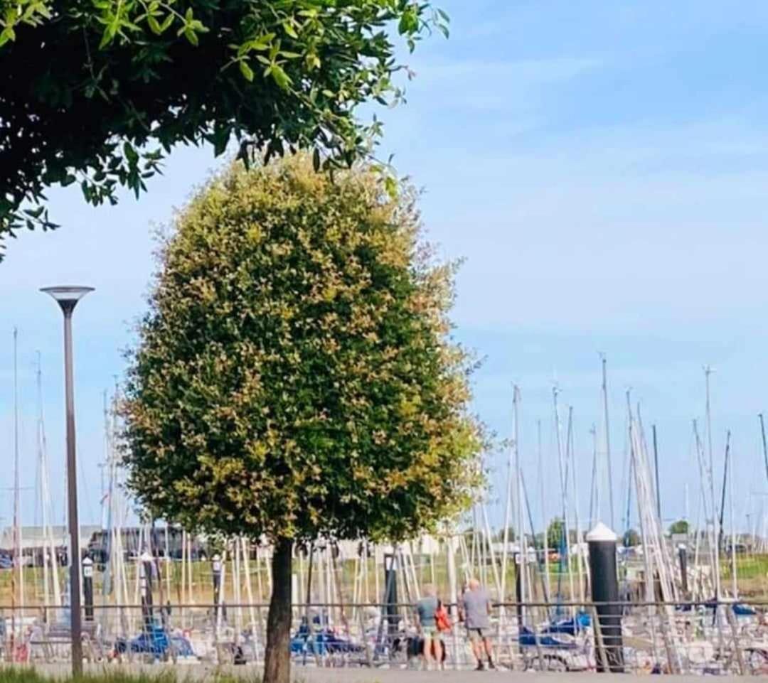 Duplex Villa Capricia Appartement Met Zwembad Nieuwpoort Jachthaven Kültér fotó